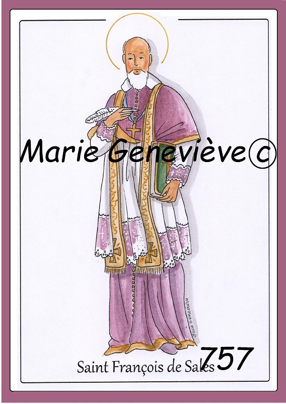saint François de Sales violet